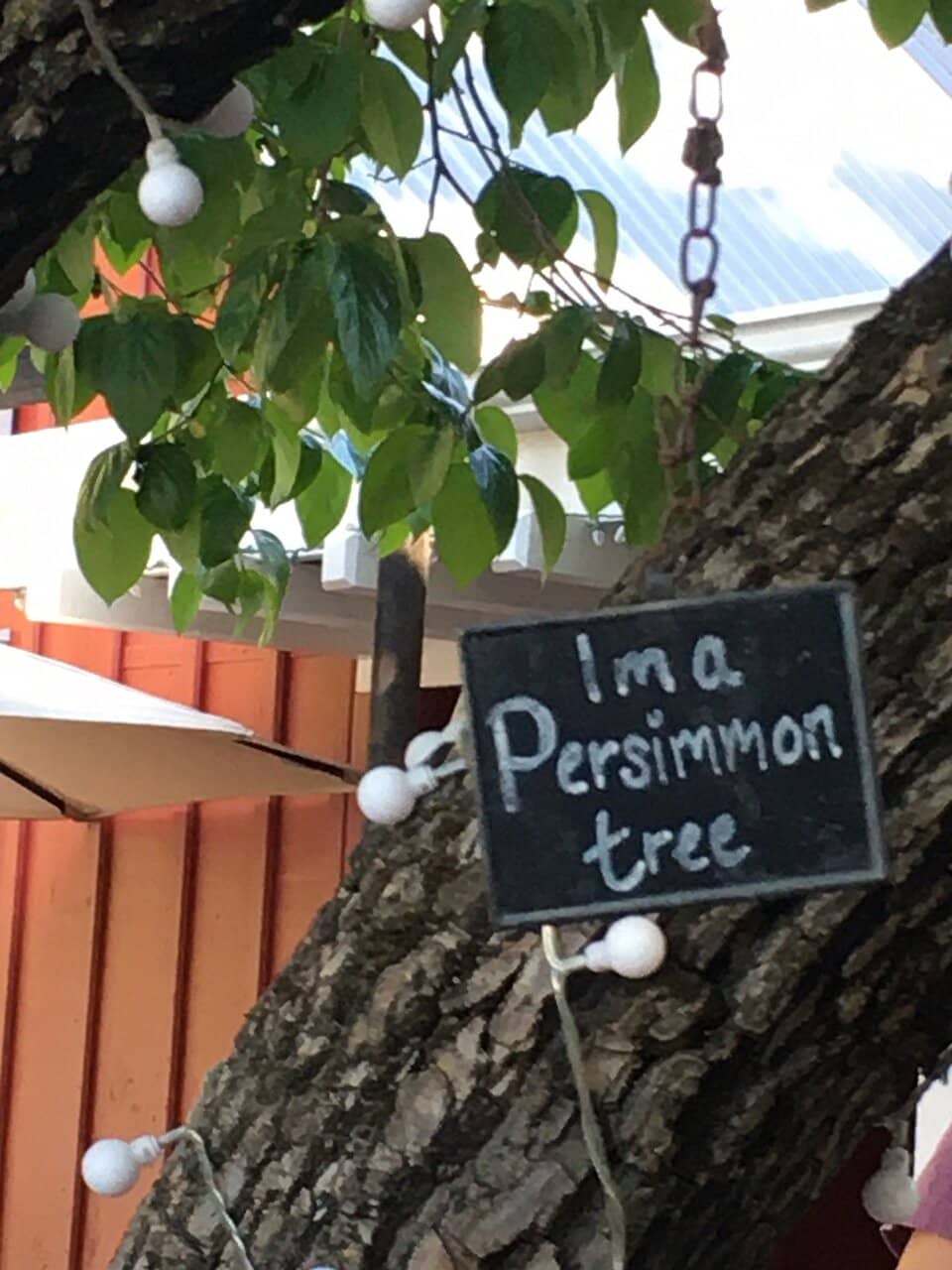 Cozy Tasting Room Ambiance