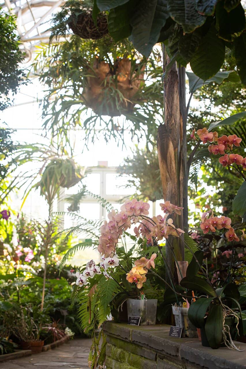 GardenFest of Lights