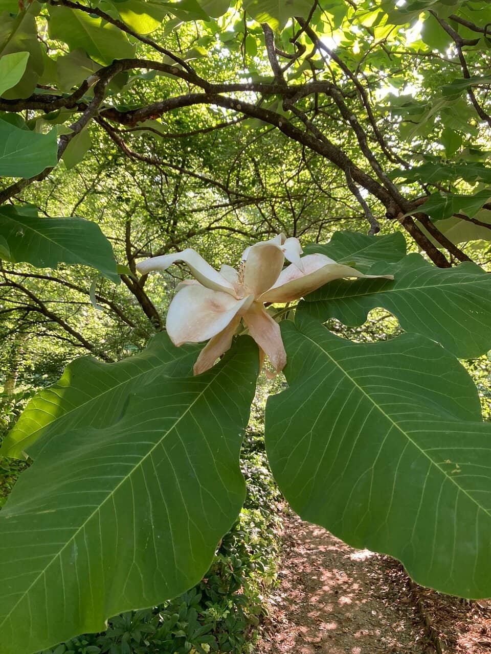 Photographer's Paradise