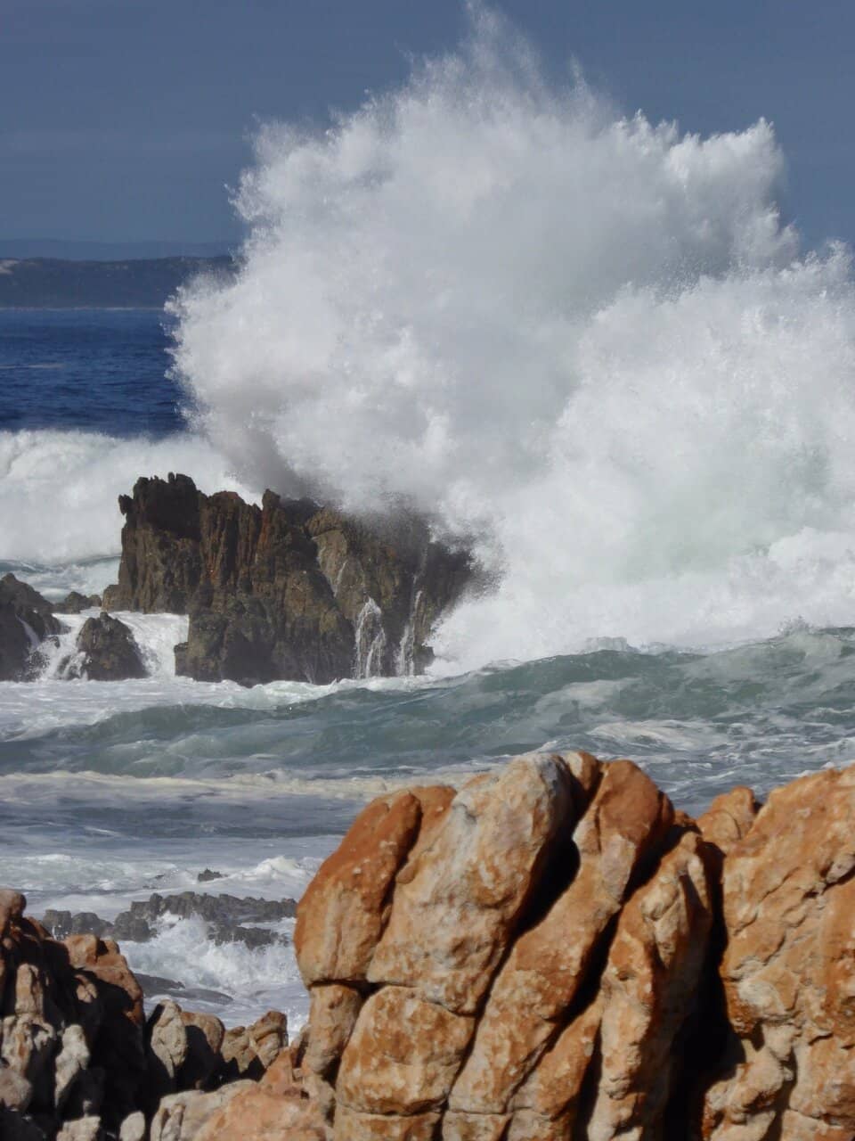 Rooi Sand Wild Horses