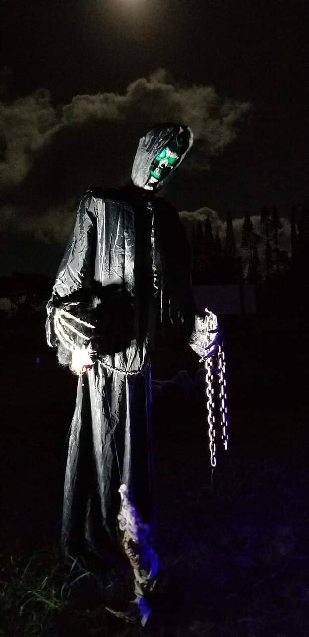 Spectacular Luau & Fire Show