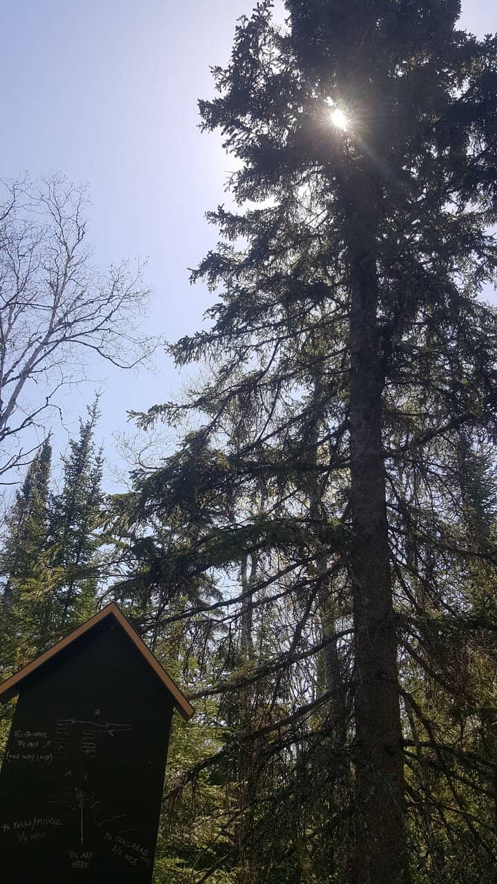 Mountain Biking Trails