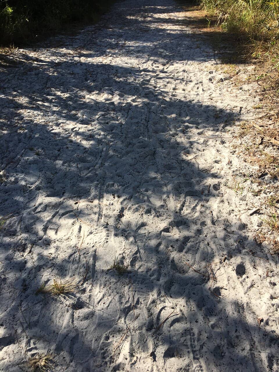 Beach Access