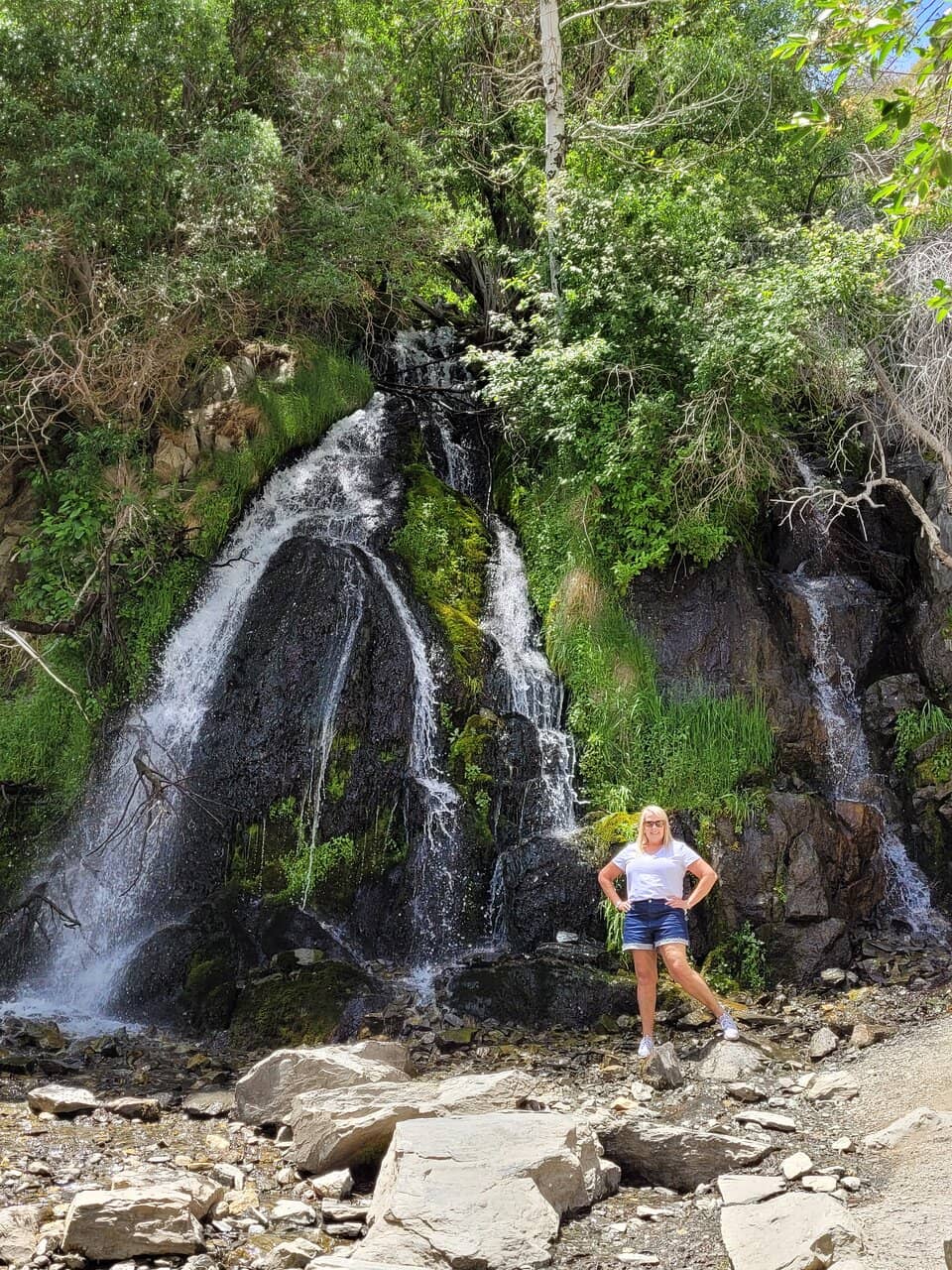Frozen Waterfall Spectacle