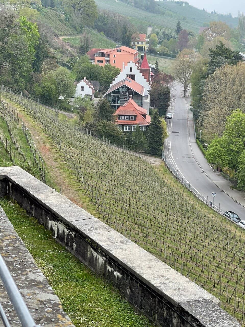 Local Wine Discovery