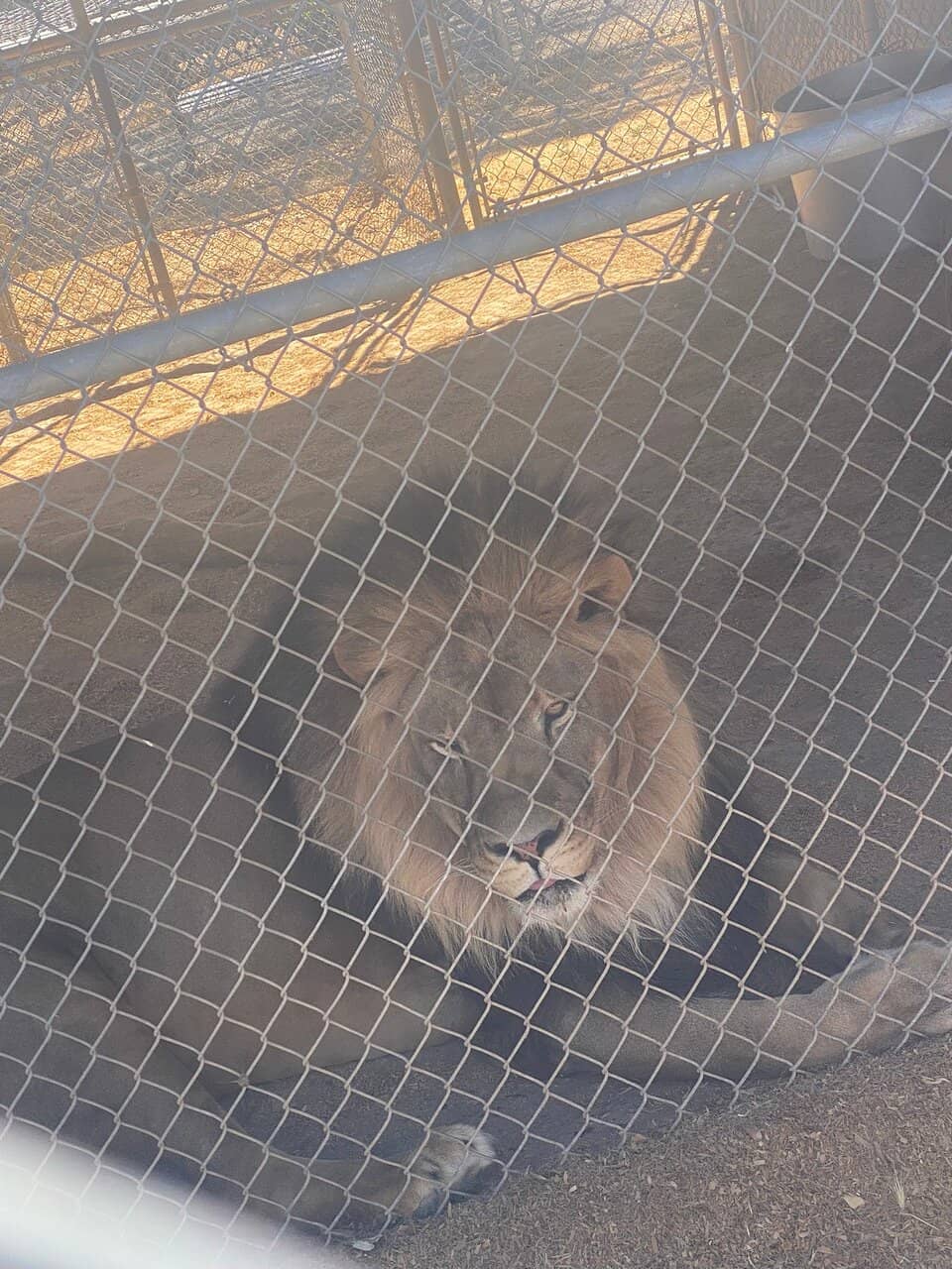 Educational Programs