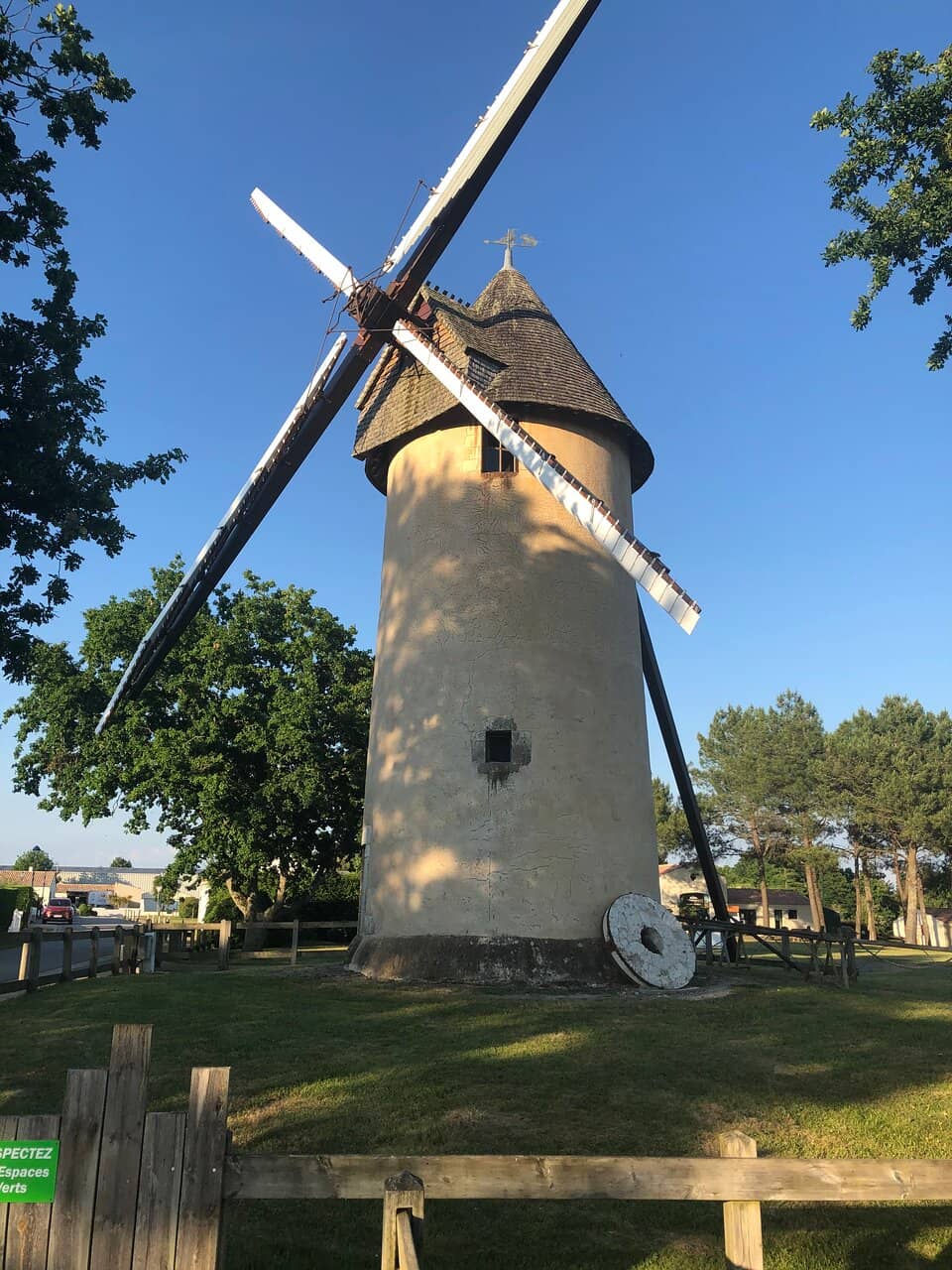 Family Fun in the Fields