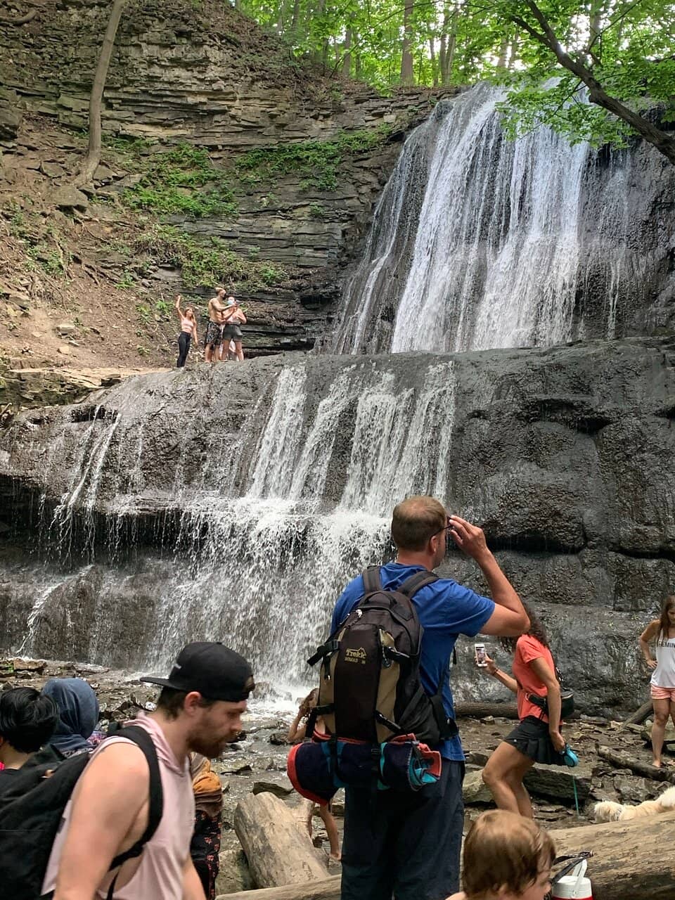 The Enchanting Forest Trail