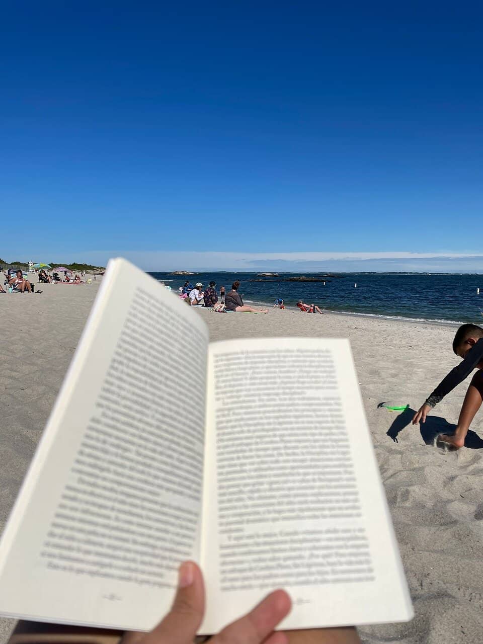 Panoramic Ocean Vistas