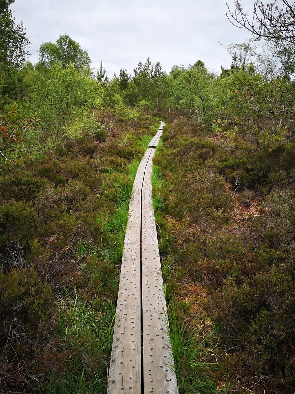 Scenic Nature Trails