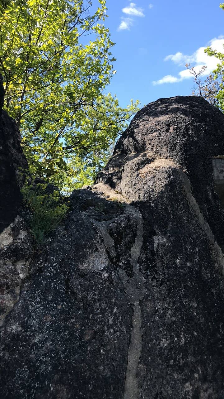 Scenic Walking Trail