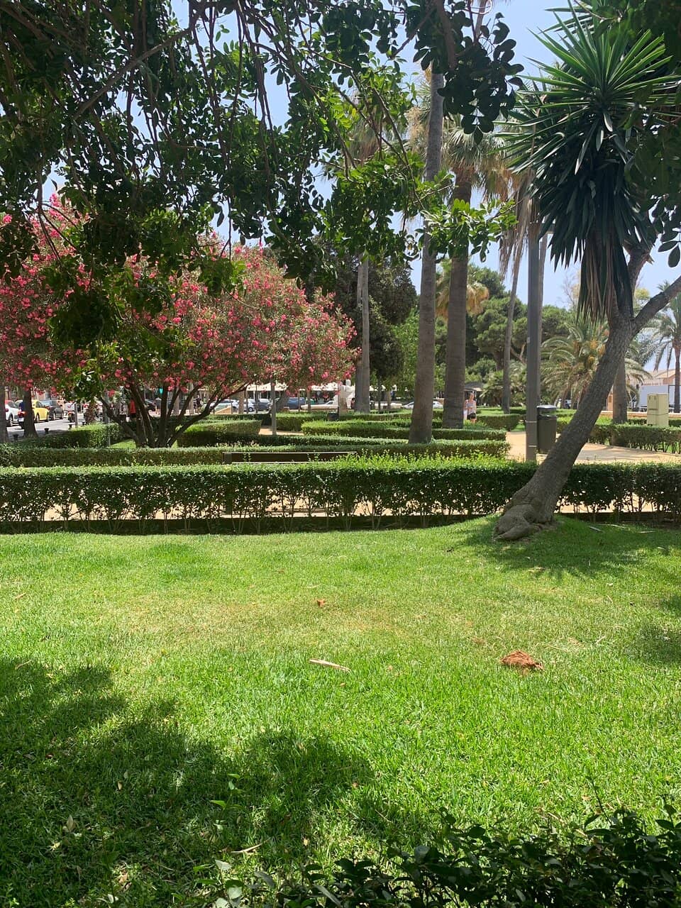 Scenic Waterfront Path