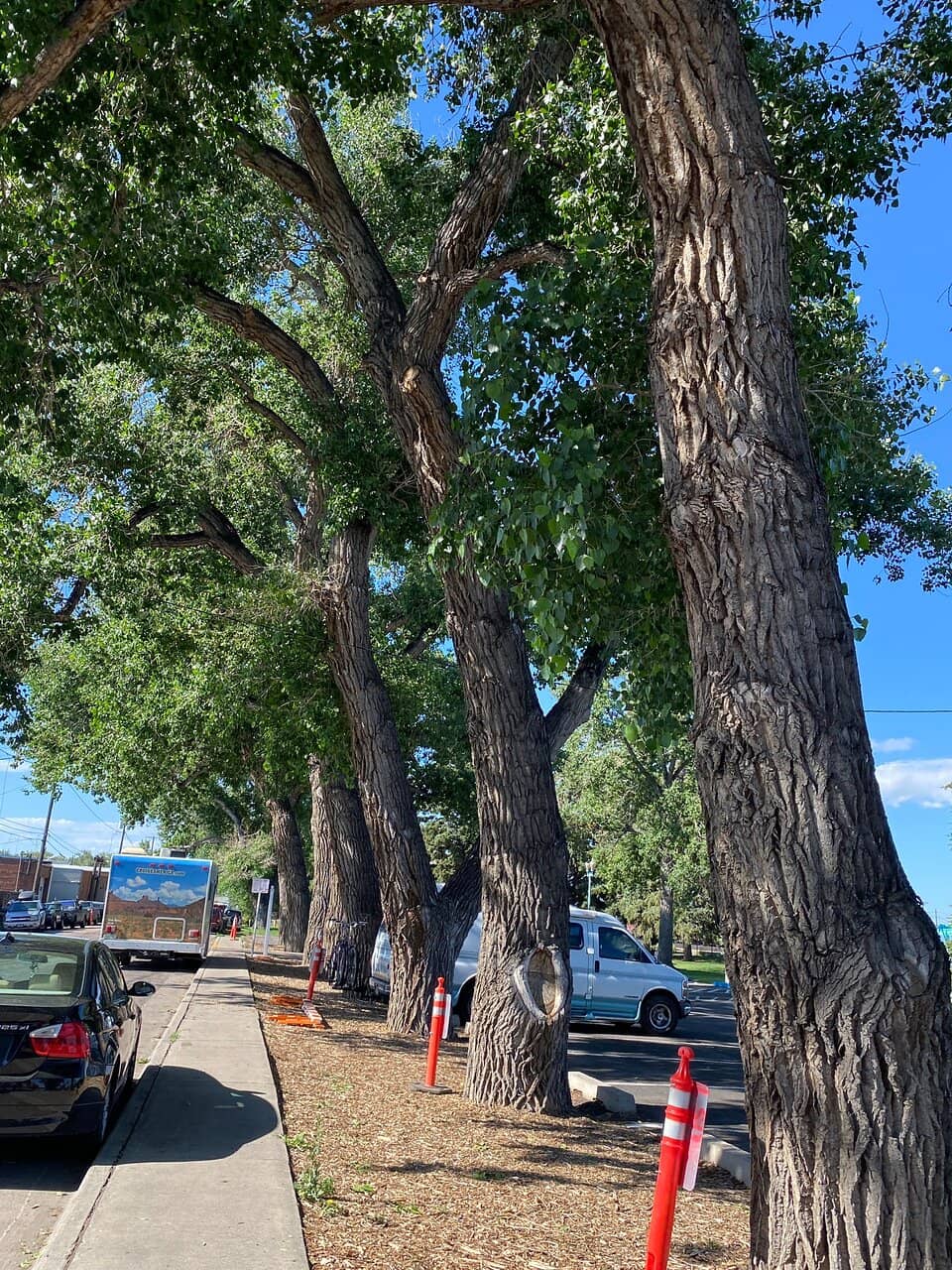 National Buffalo Mural Project