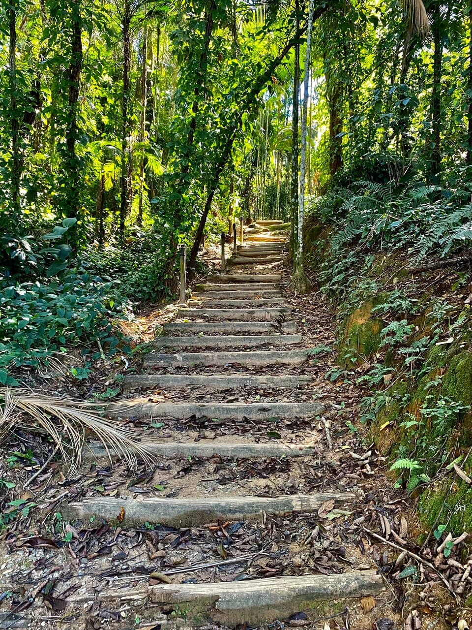 Pedra da Macela Viewpoint