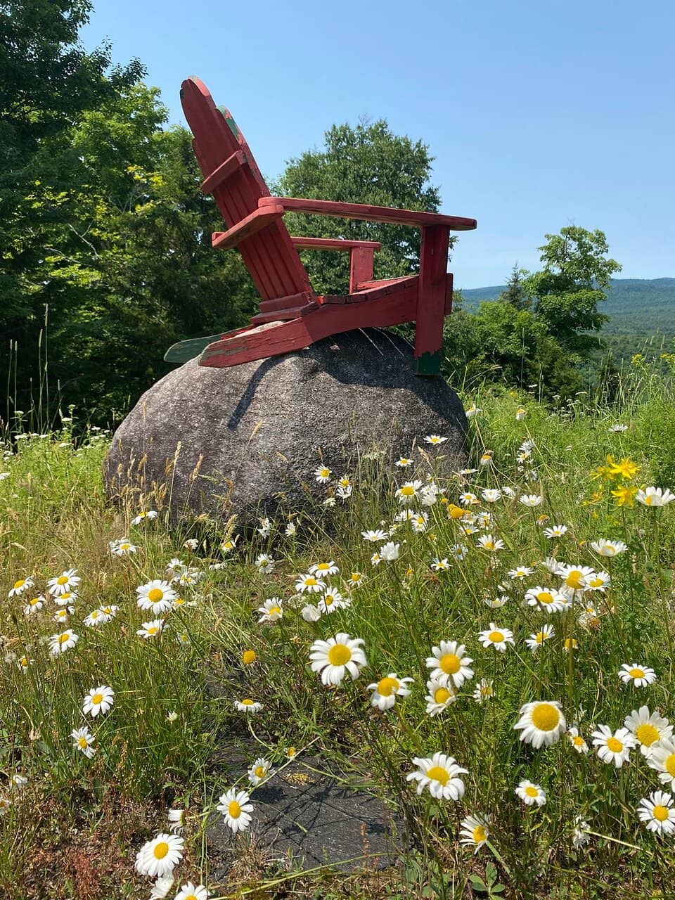 Scenic Chairlift Ride