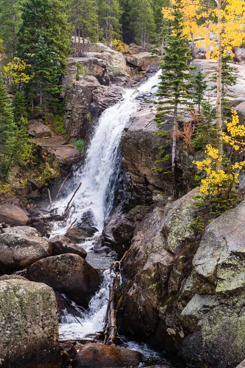 Tongass National Forest Rainforest