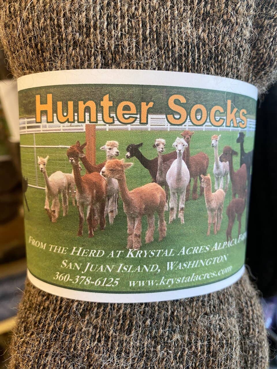 Meet the Farm Animals