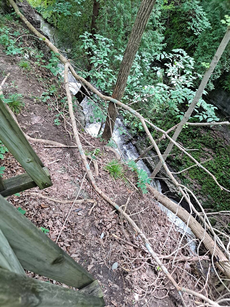 Clifton Gorge