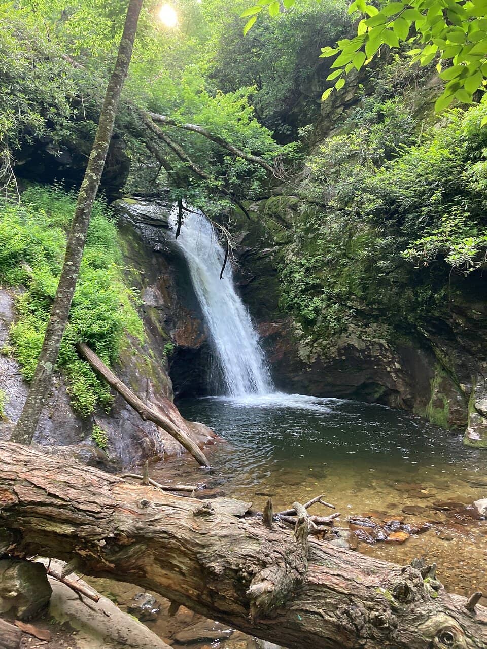 Swimming Hole