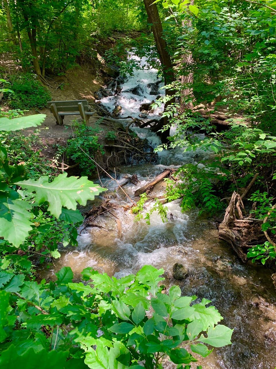 Abundant Wildlife Sightings