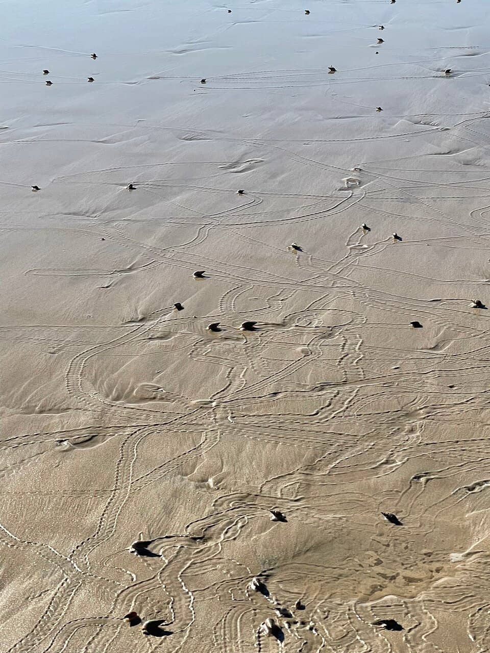 Nearby Cafes and Eateries