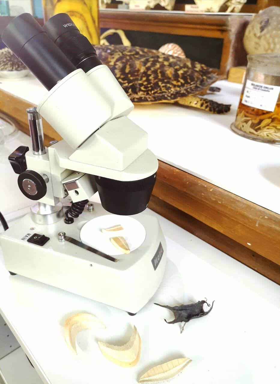 Interactive Educational Posters