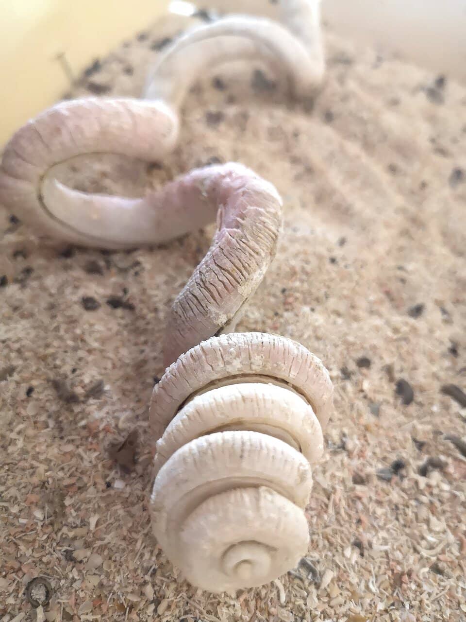 Themed Exhibition Rooms