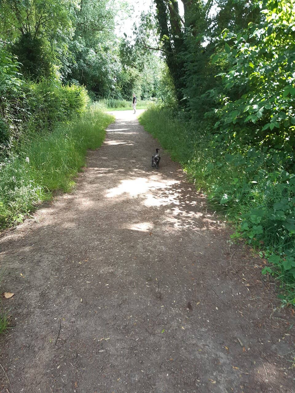 Outdoor Fitness Zone
