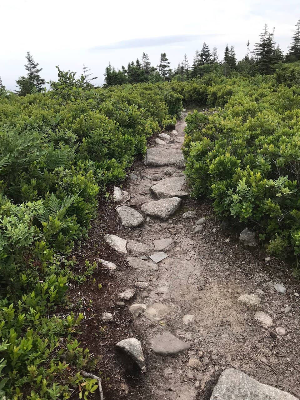 WWII Observation Station