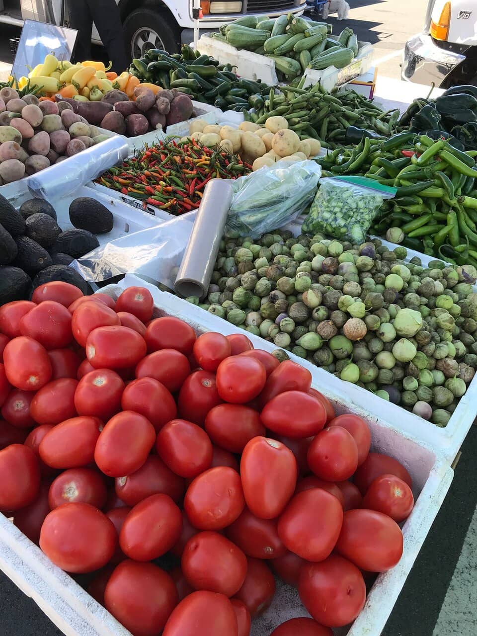 Live Music & Concerts