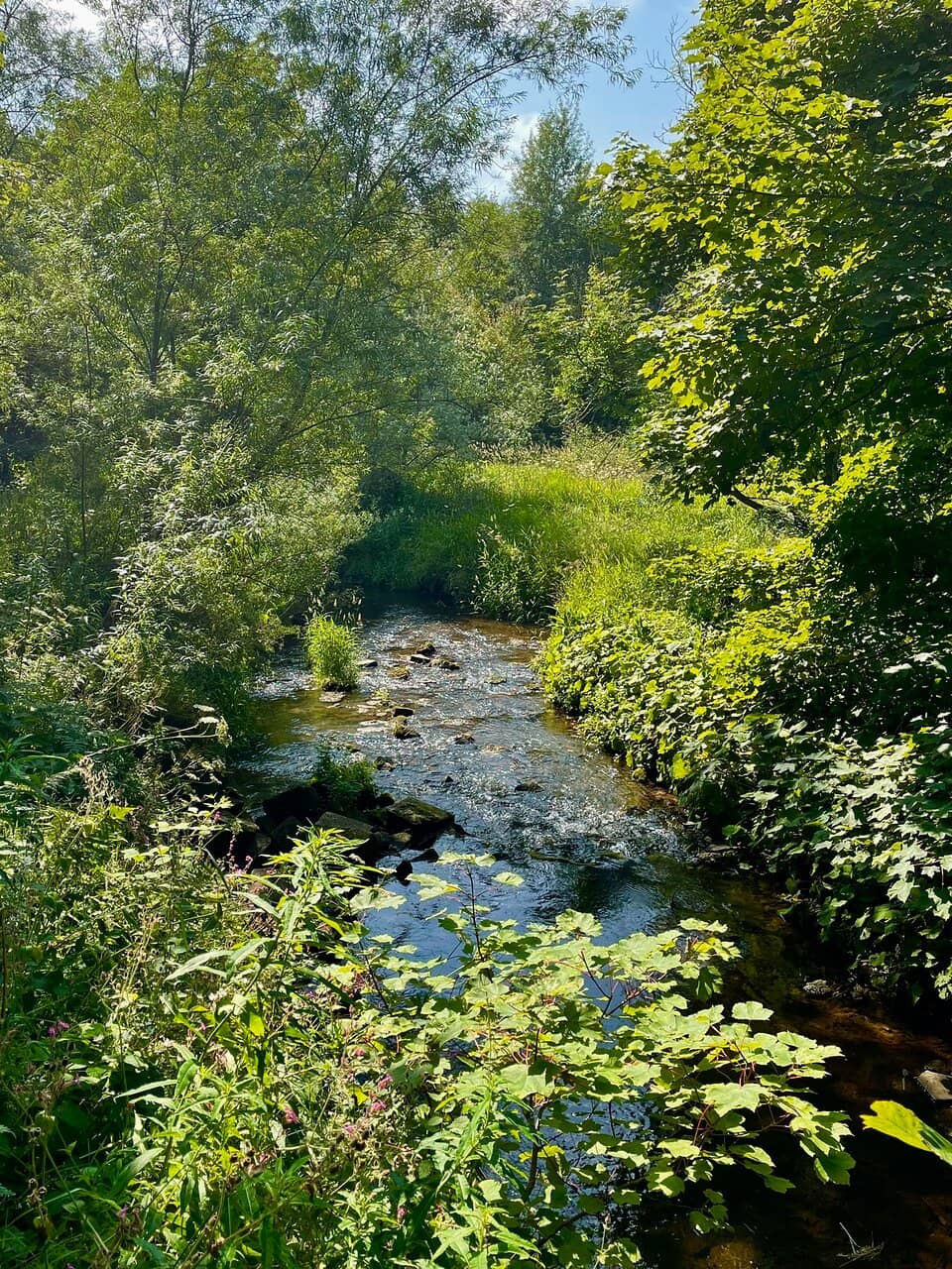 The Pictish Stones Collection