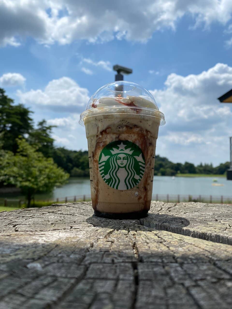 Forest Adventure Toyota