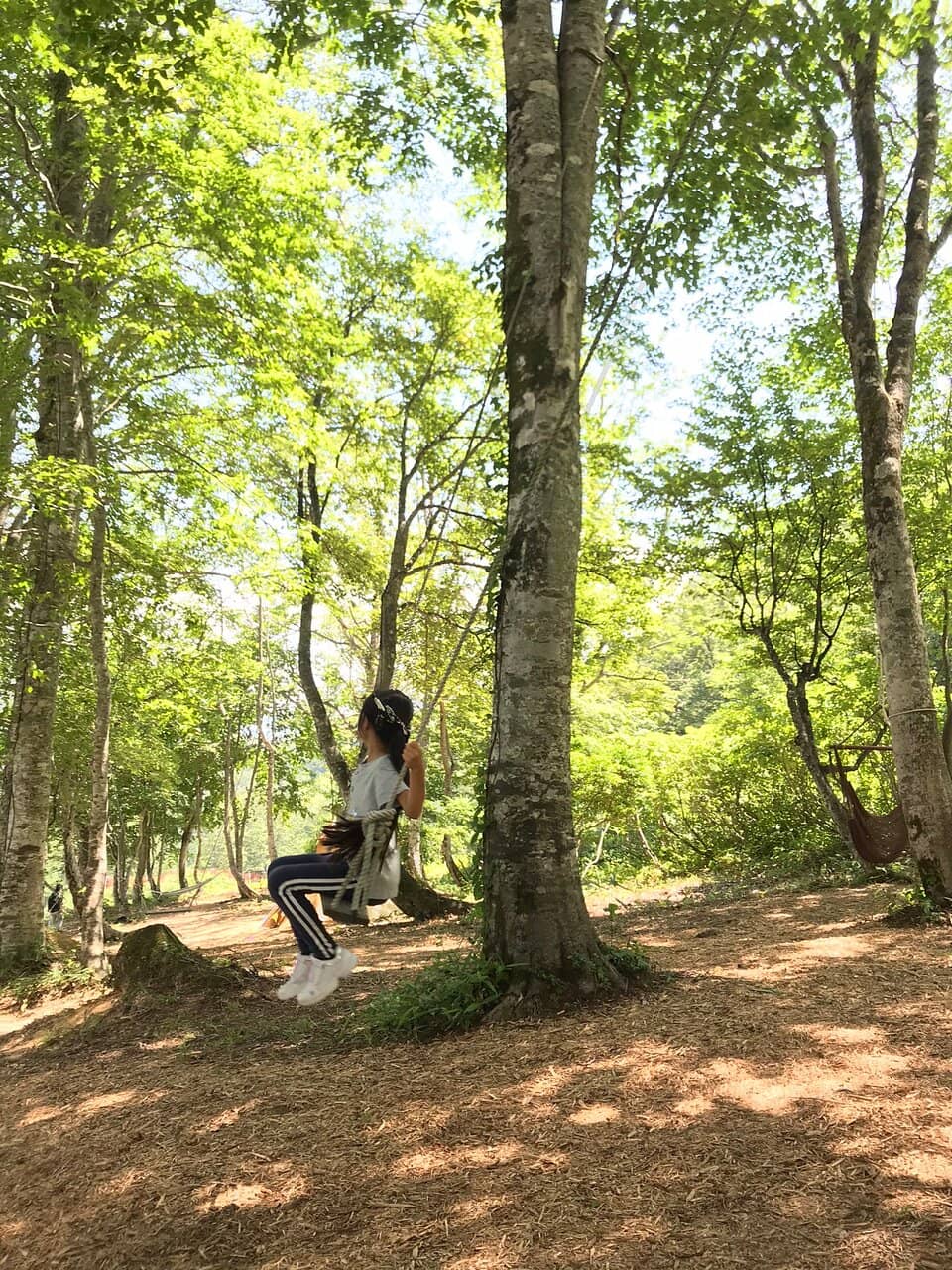 Gondola-Connected Resorts