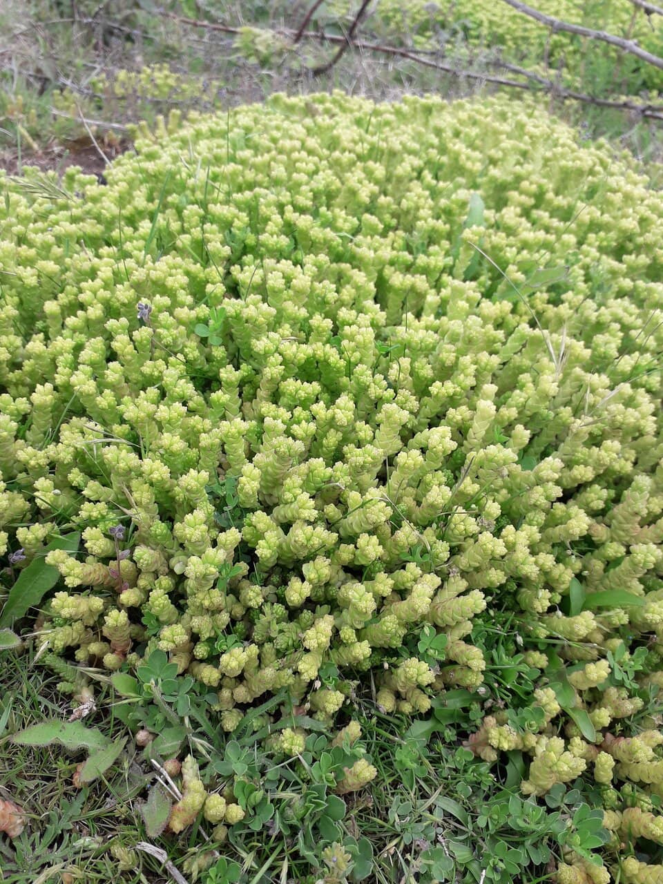 Historical Information Boards