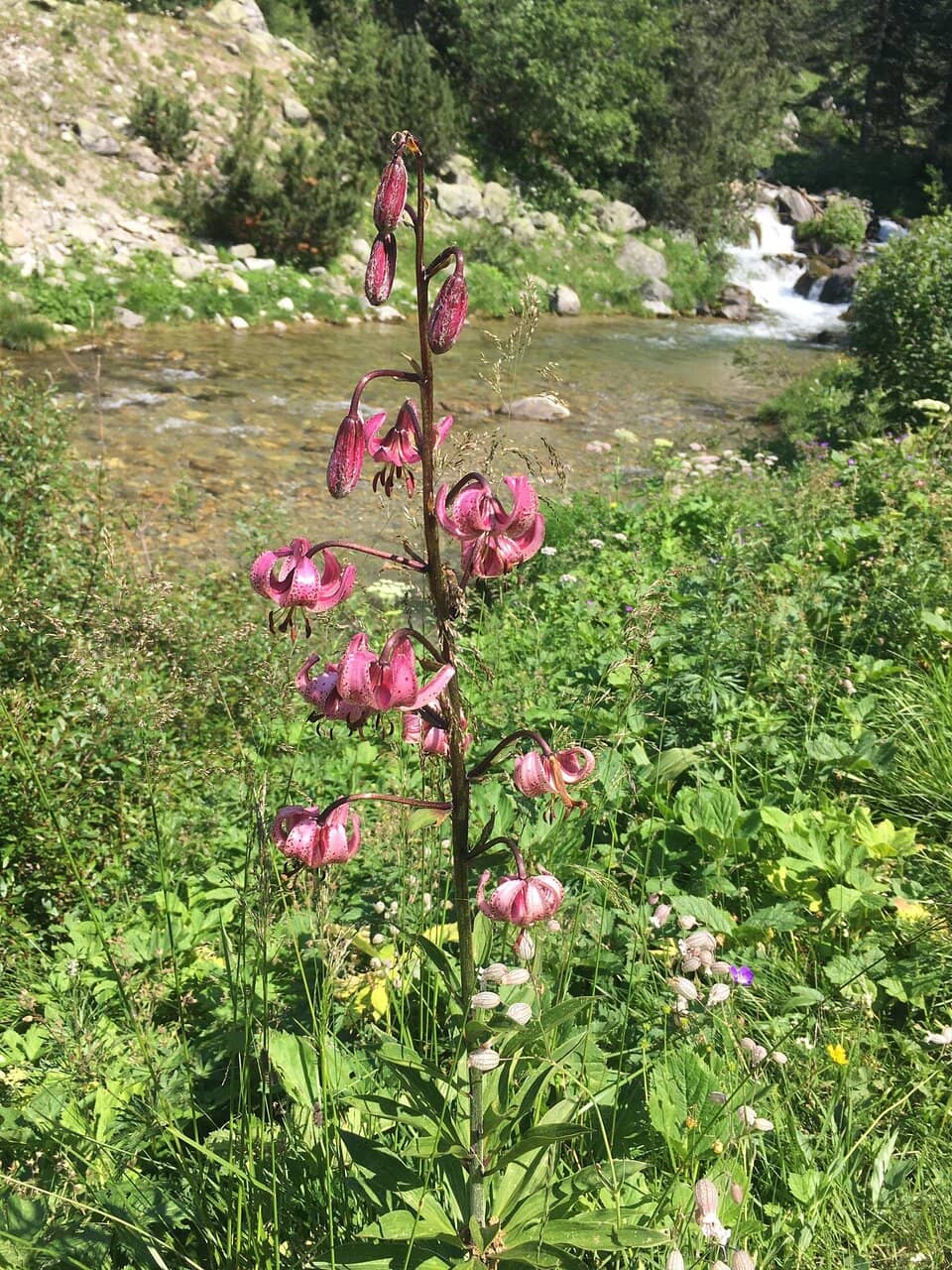 The Planet Trail (Planetenweg)