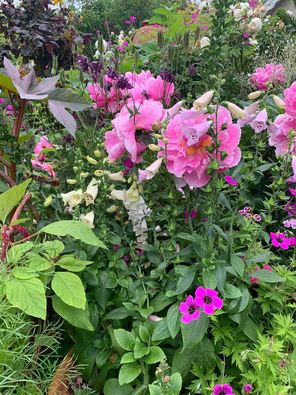 The Extensive Pottery Collection