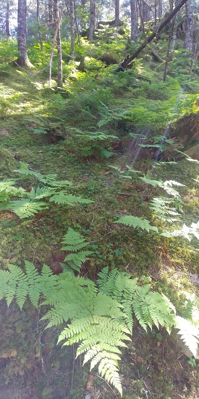 The Twin Lakes