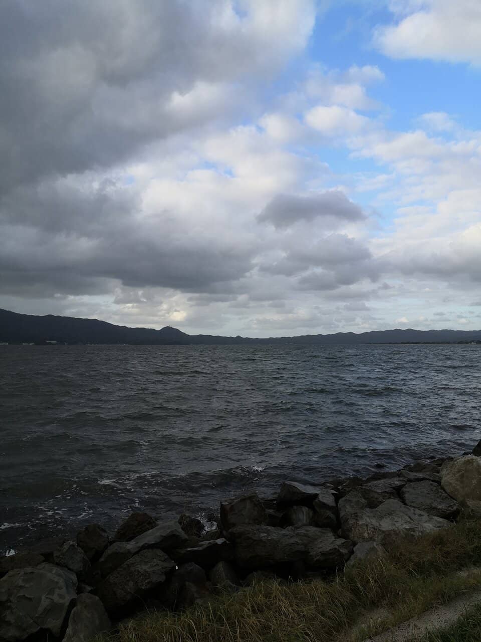 Lake Nakaumi Waterfowl