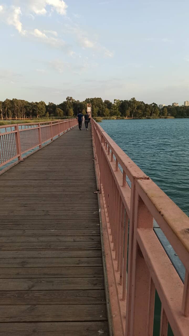 Greenery and Serenity