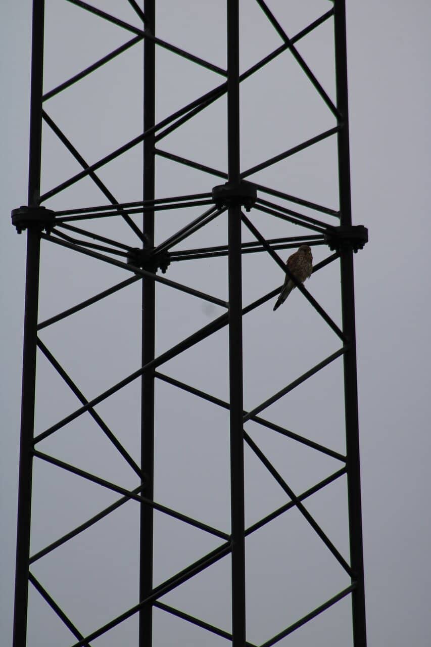 Birdwatching Paradise