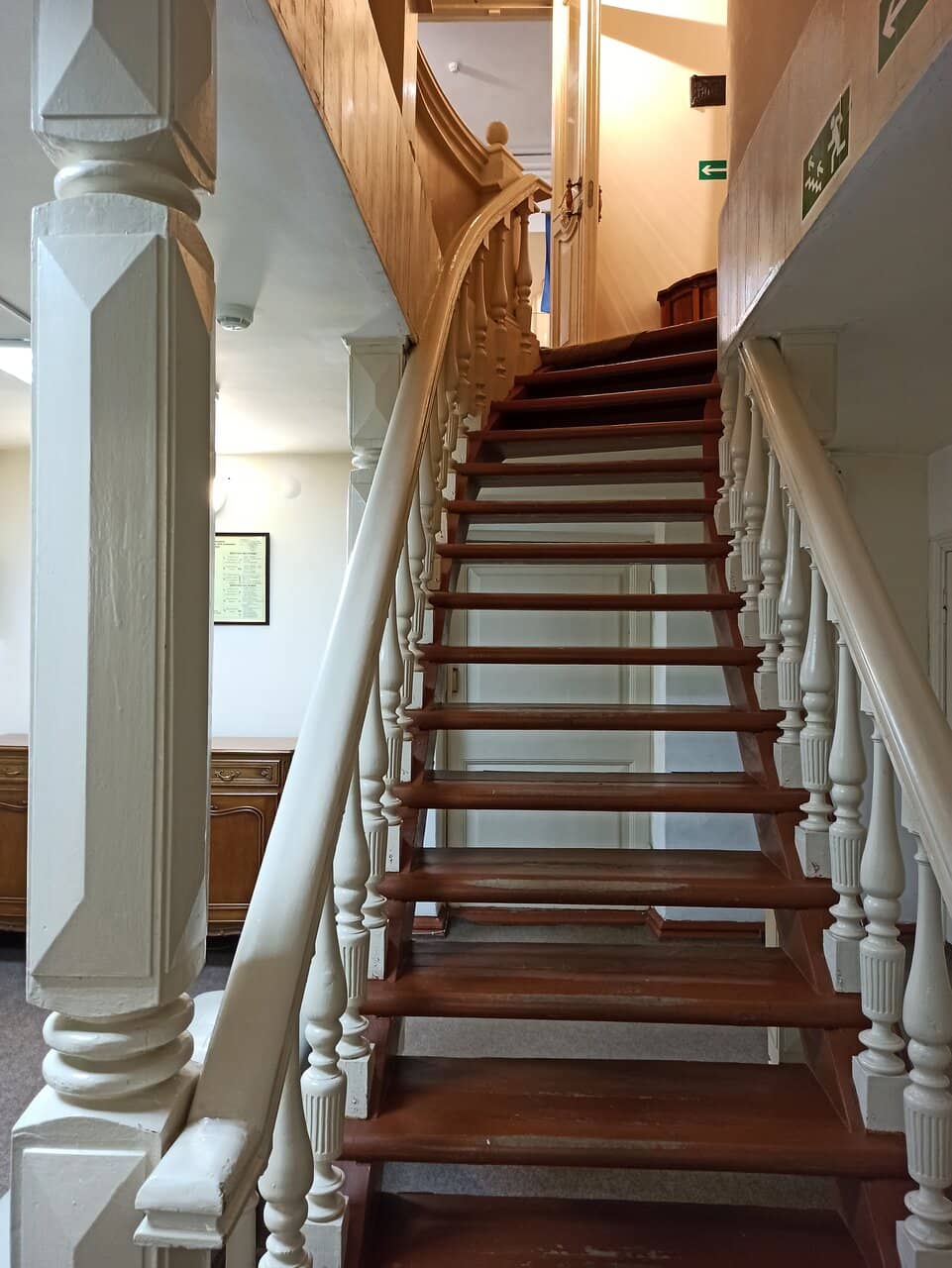 Stuffed Animal Exhibits