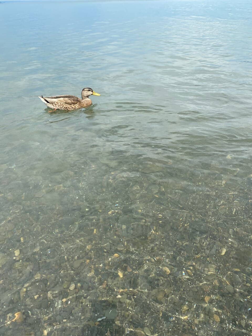 Kayaking & Paddleboarding Haven