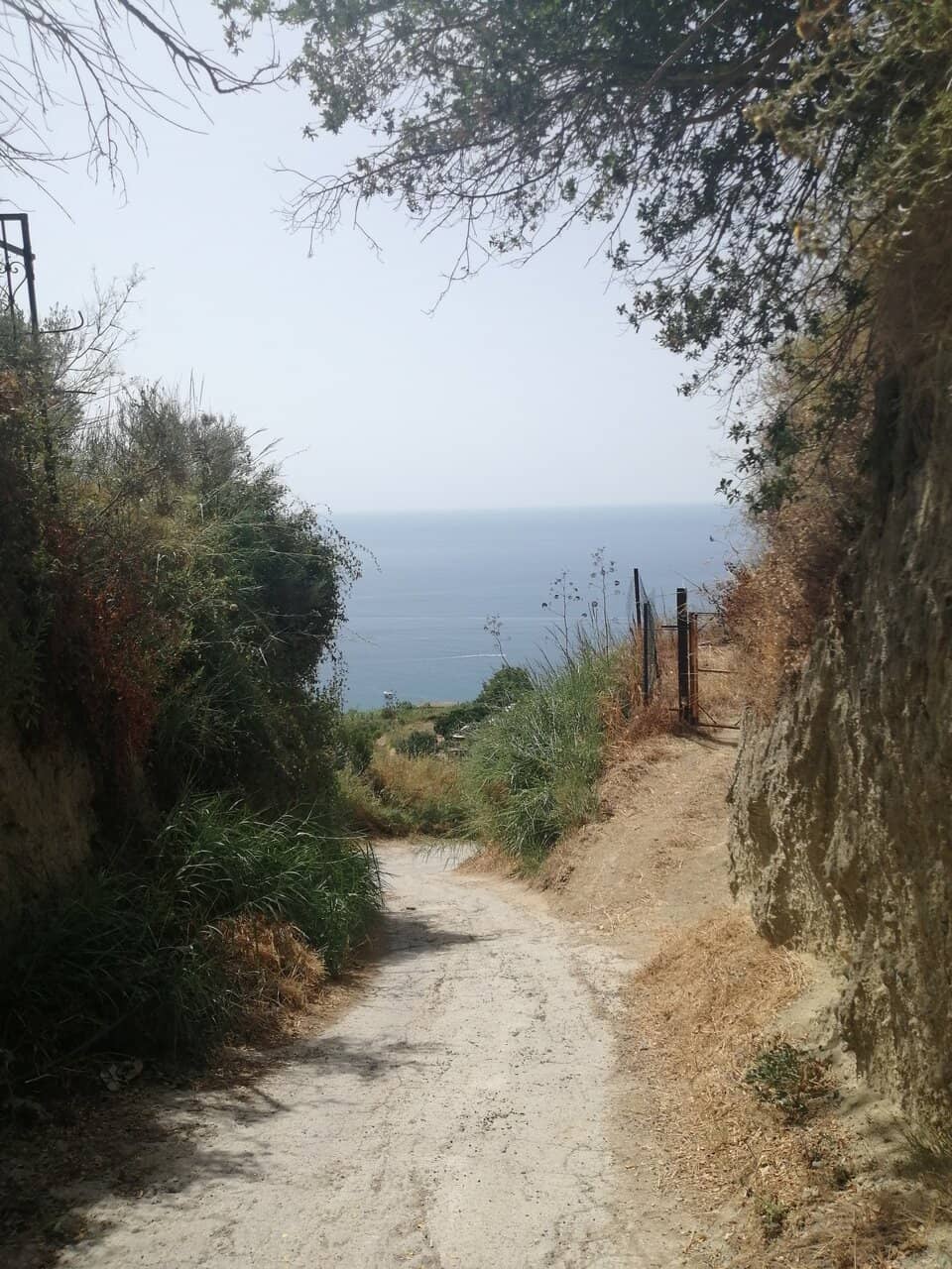 Panoramic Sunset Views