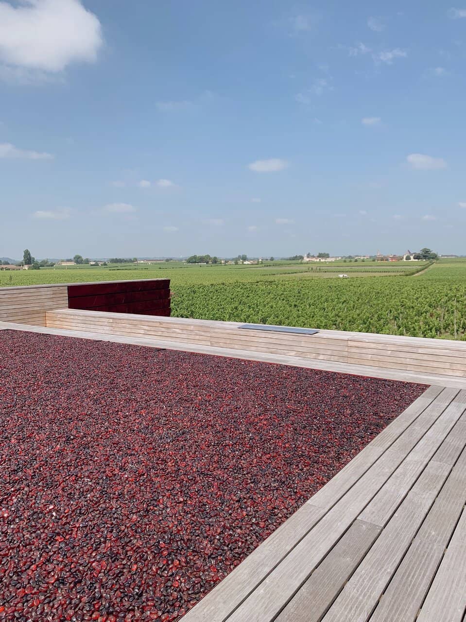 Friendly, Multilingual Staff