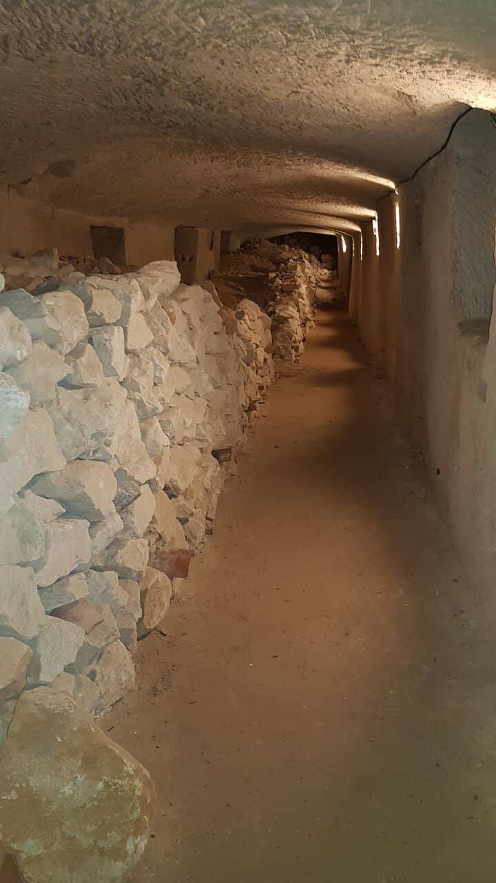 Passionate Guided Tours