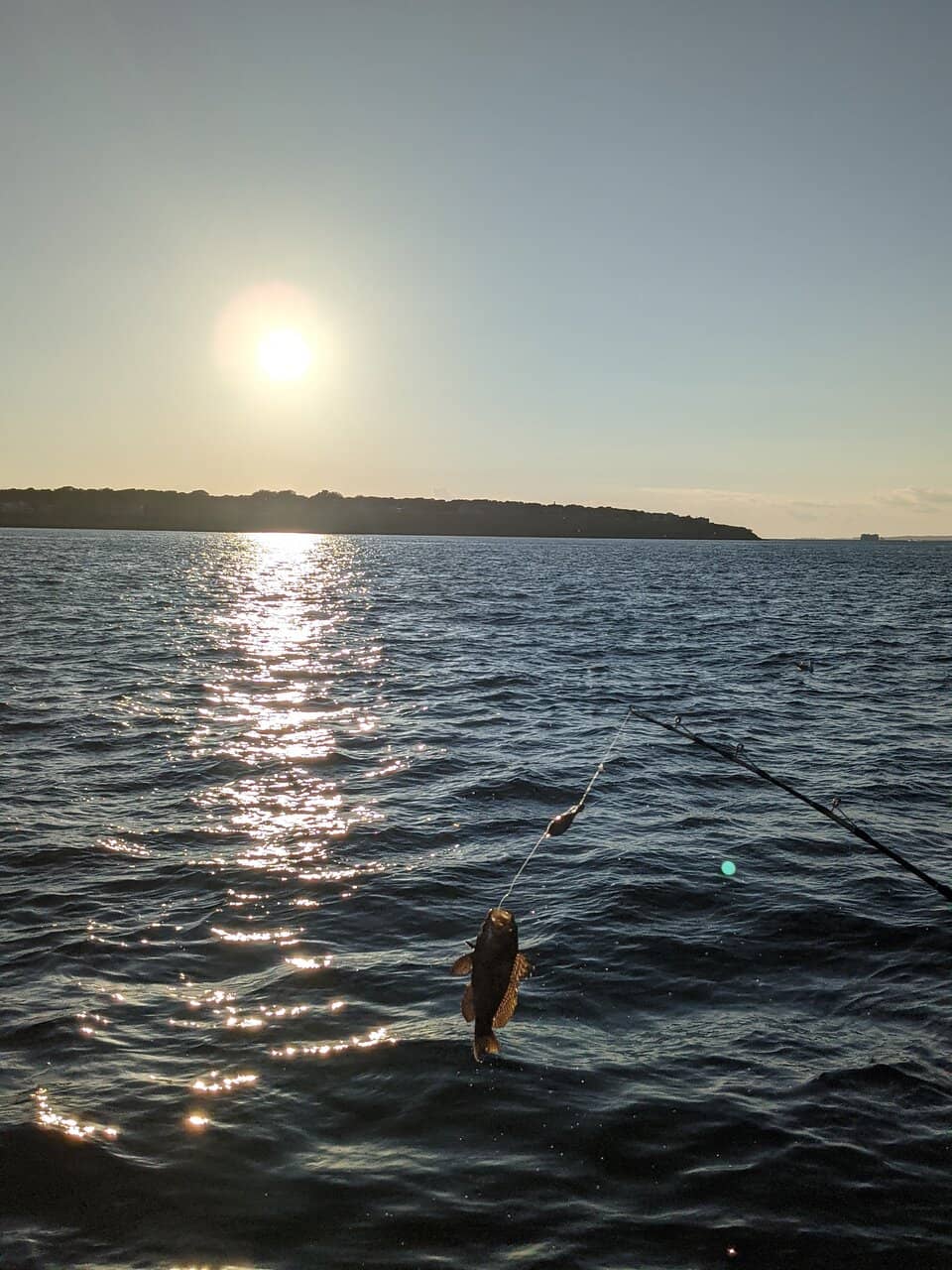 Shoreline & Tidal Ponds