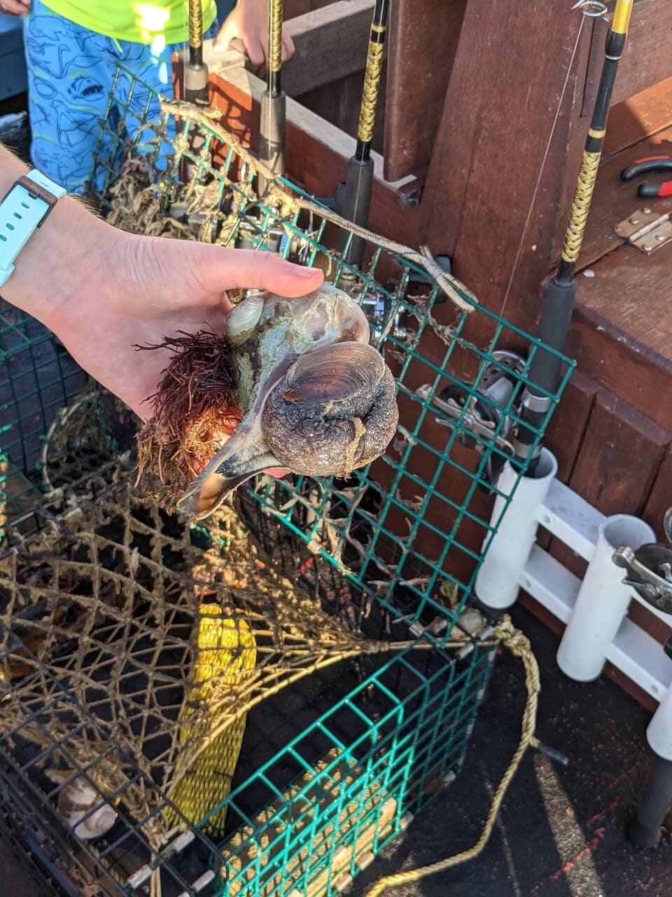 Discovery Center Wonders