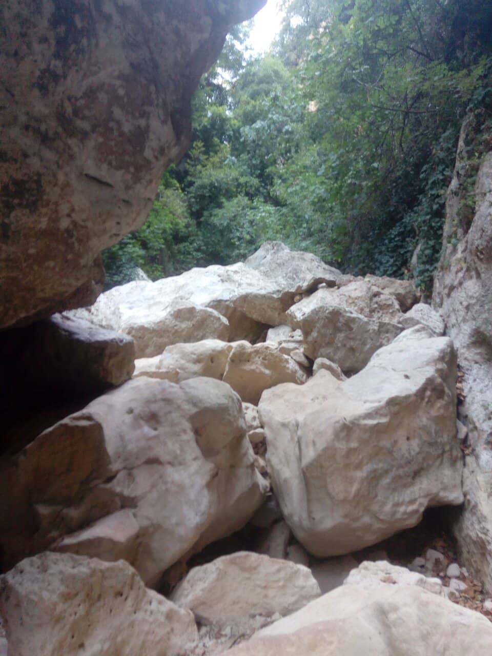 Panoramic Canyon Views