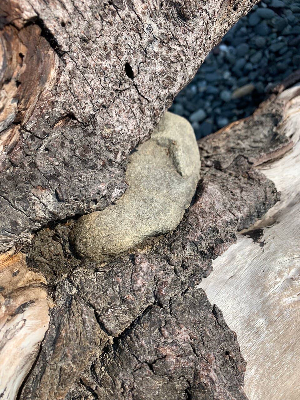 Scenic Rocky Shoreline