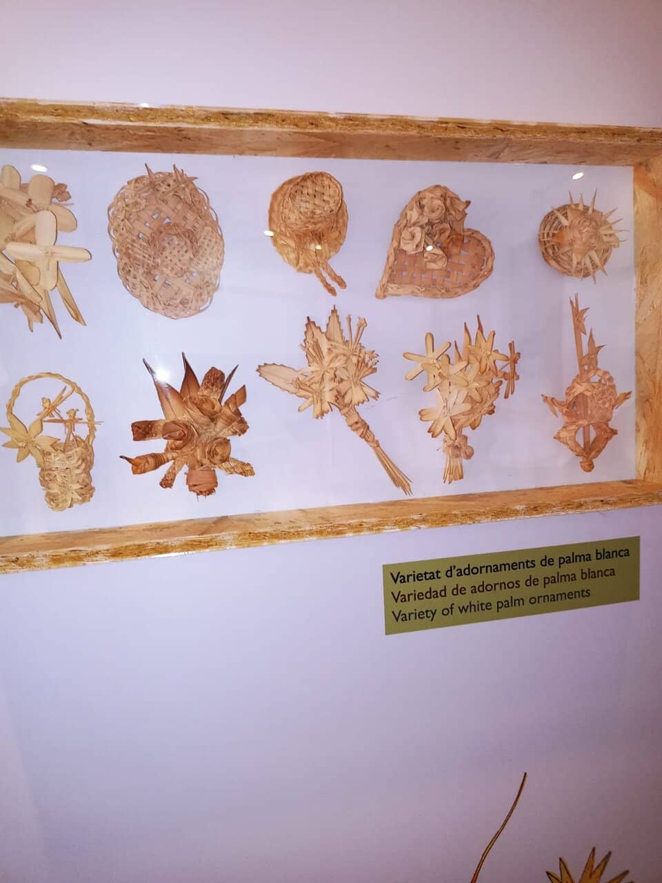 Tranquil Palm Garden